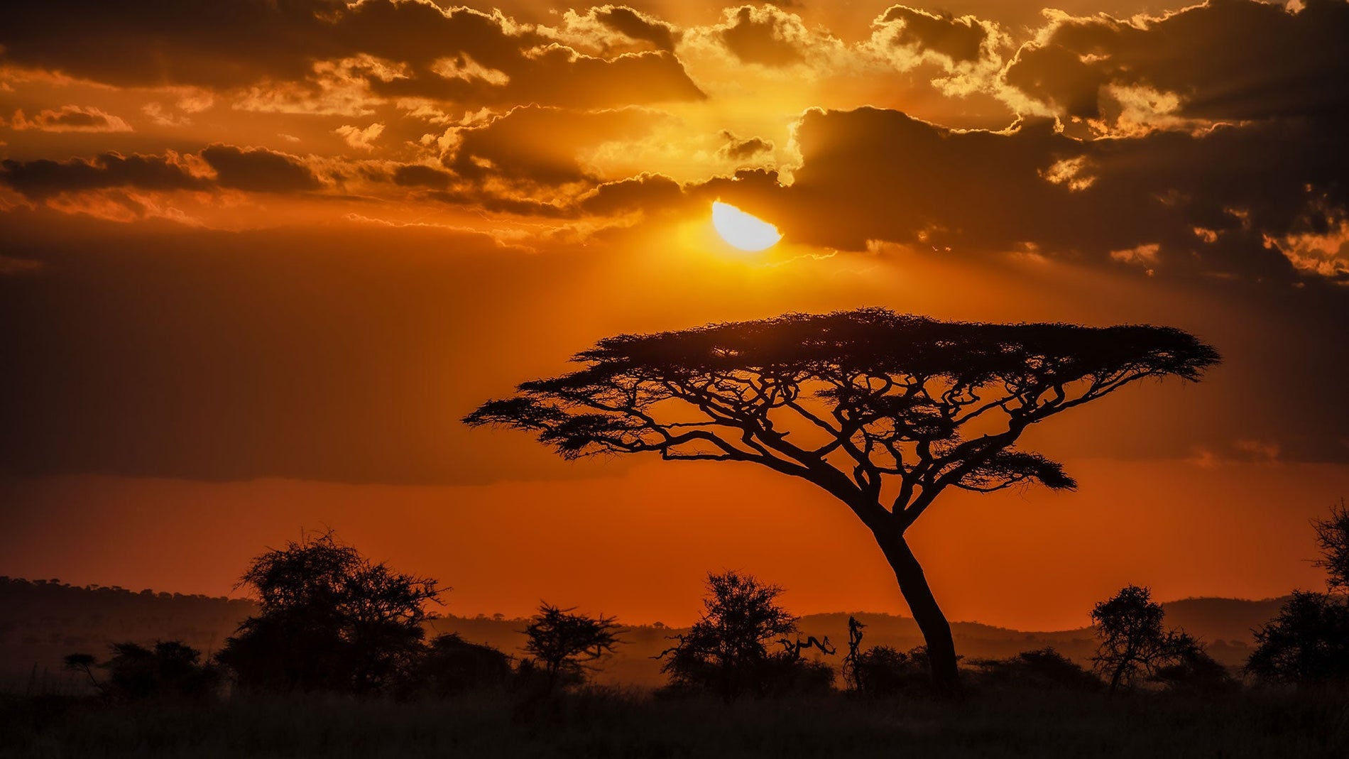Earth Wisdom Retreat in Tanzania: November 9-20, 2026
