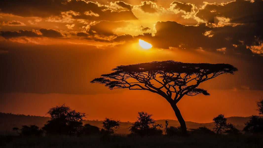 Earth Wisdom Retreat in Tanzania: November 9-20, 2026 Earth Wisdom Collection