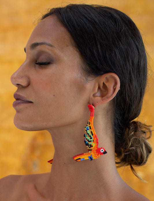 Earrings Red Parrot