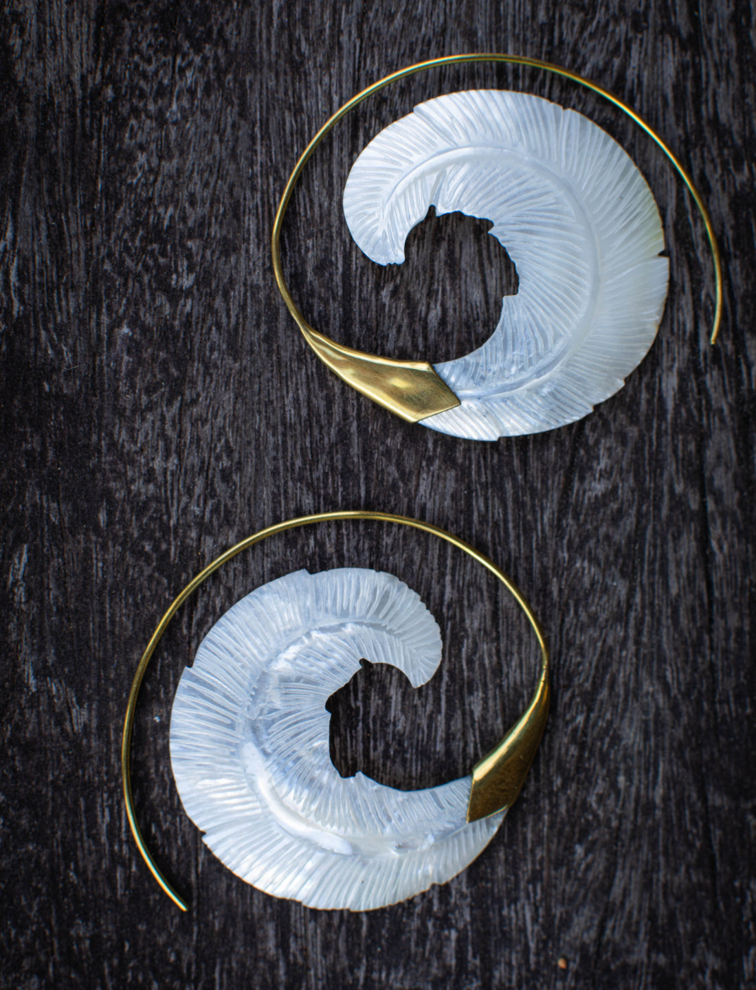 Hoop Of Ocean Life Earrings